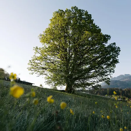 Apartment Dorfresort Kitzbuehel By Alps
